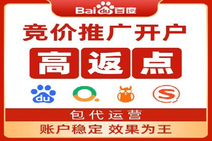 百度SEO推广公司案例精选：揭秘优化策略